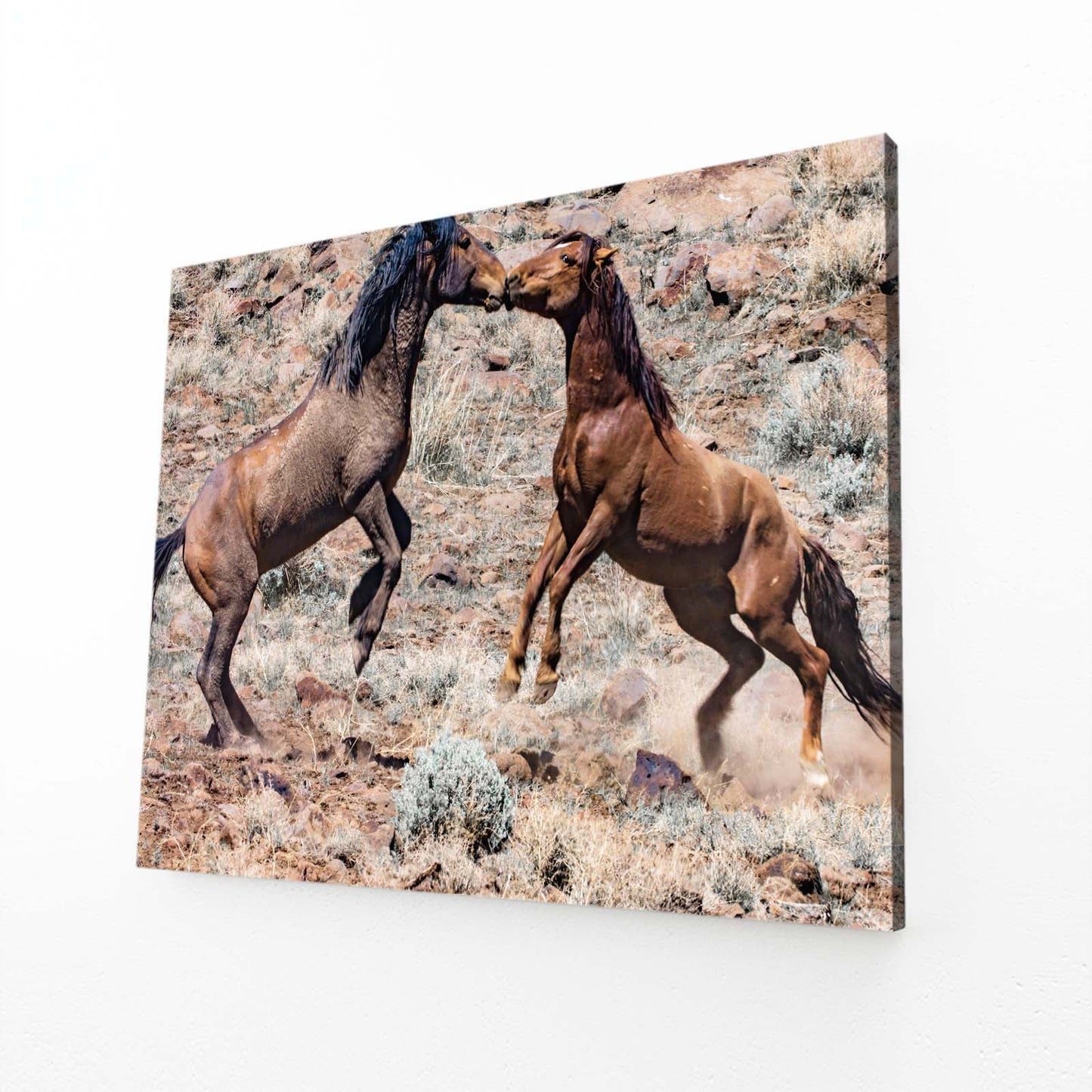 Kissing Horse Prints – angled canvas view on white background