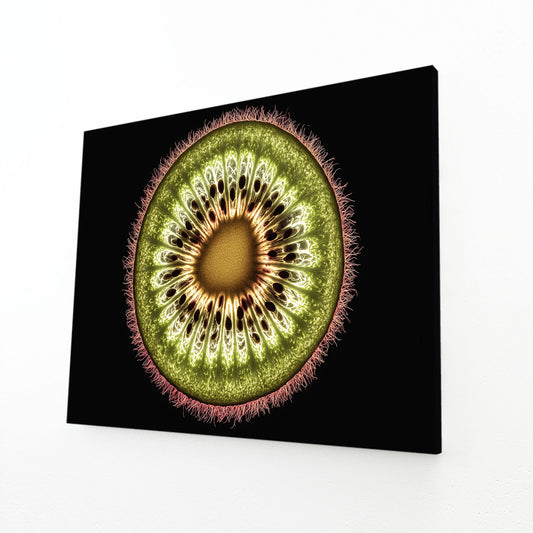 Kiwi Slice Macro Fruit Canvas Art – angled canvas view on white background