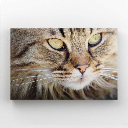 Large Cat Wall Art