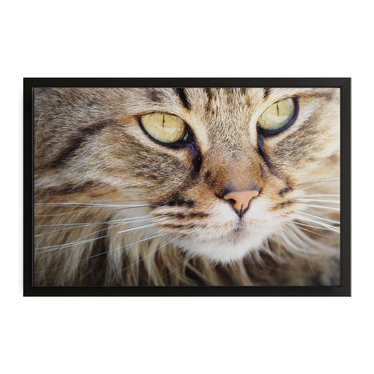 Large Cat Wall Art
