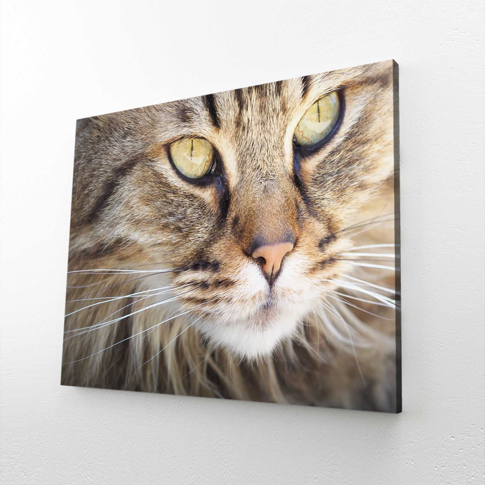 Large Cat Wall Art