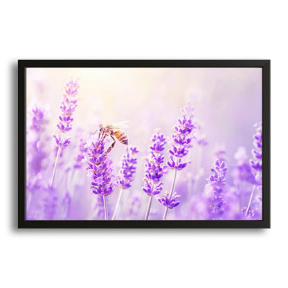 Lavender Field Bee Art