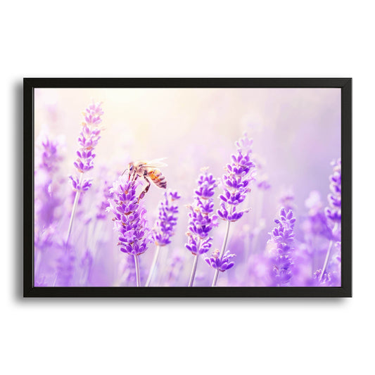 Lavender Field Bee Art – canvas print on white background