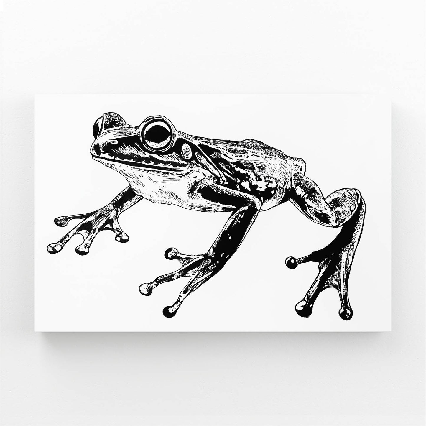 Leaping Ink Sketch Frog Canvas Art – angled canvas view on white background