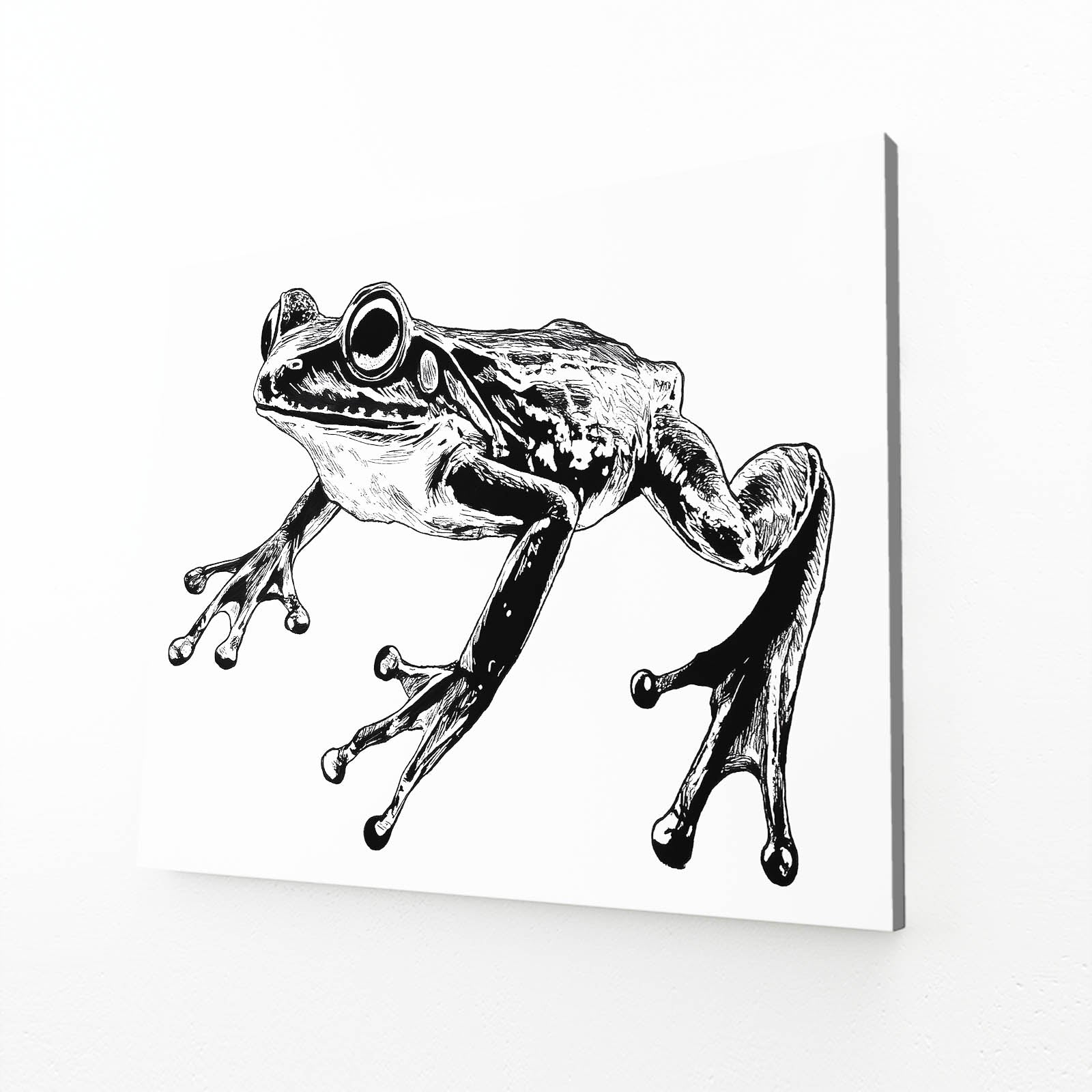 Leaping Ink Sketch Frog Canvas Art – leaping ink sketch frog canvas print