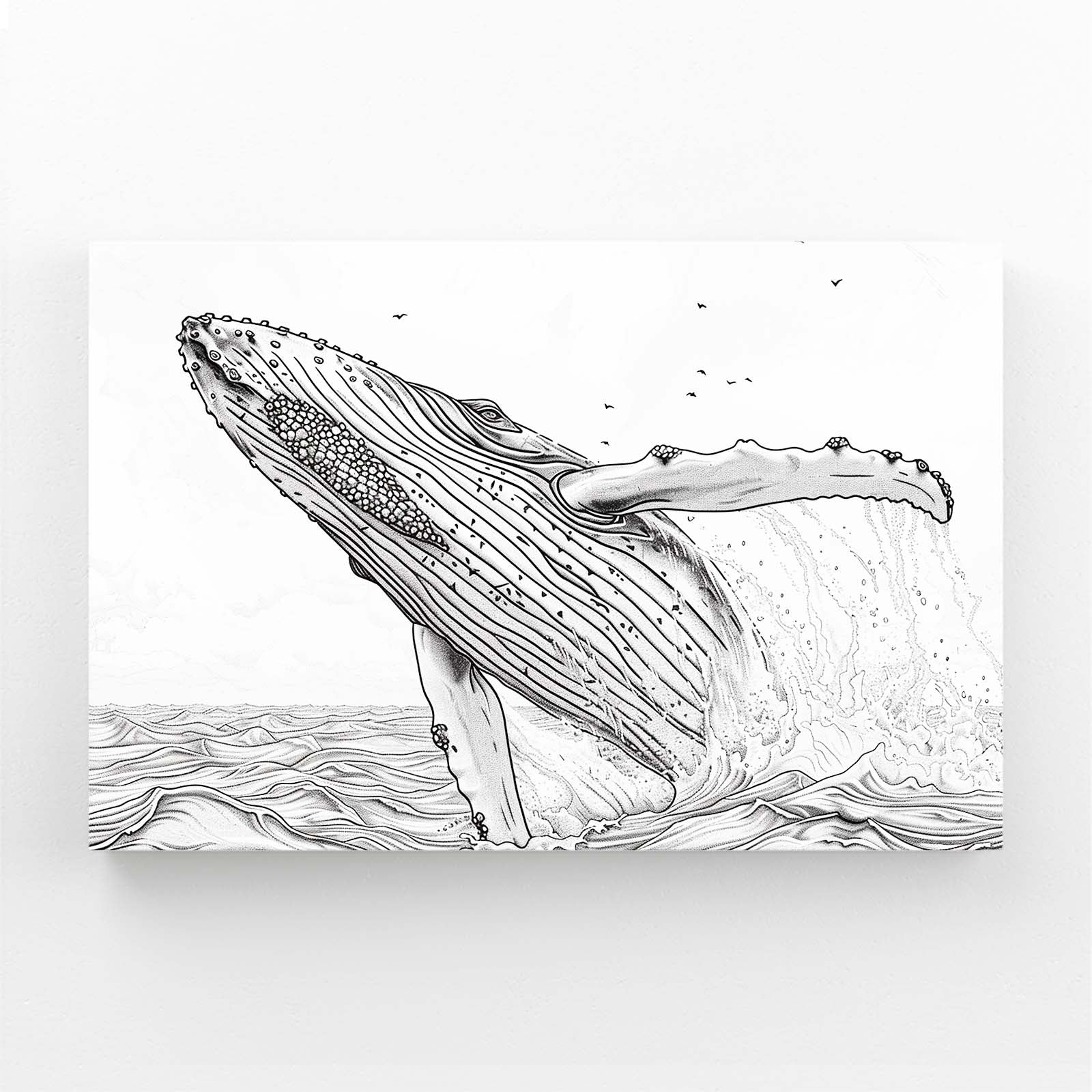 Line Art Black And White Whale Art