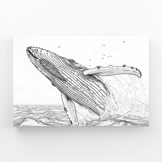 Line Art Black And White Whale Art