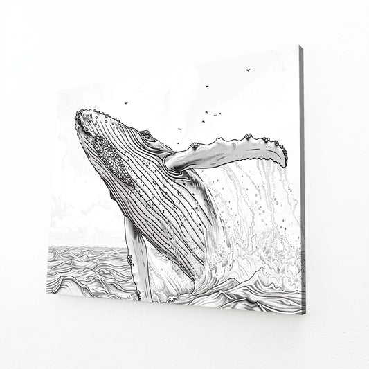 Line Art Black And White Whale Art