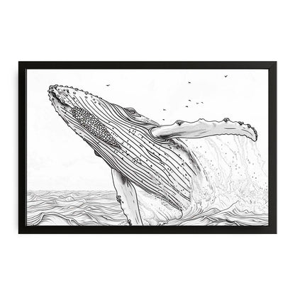 Line Art Black And White Whale Art