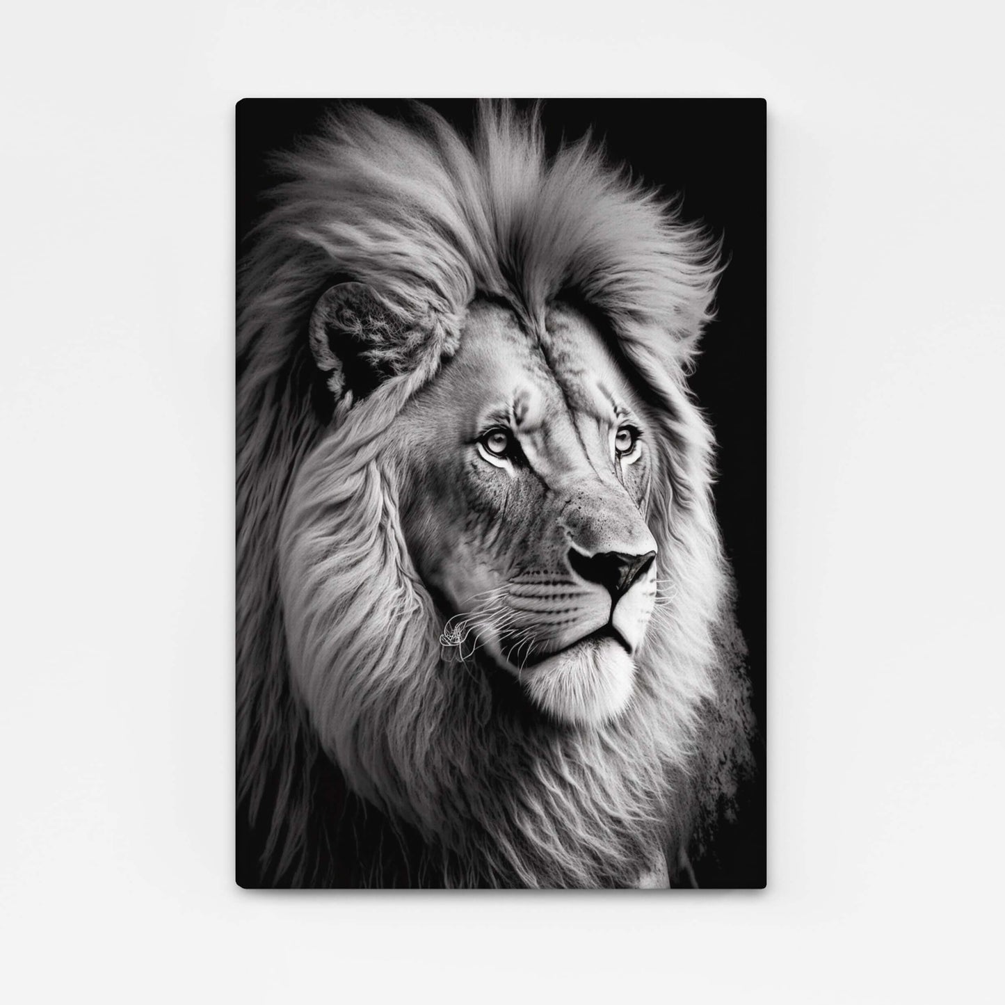 Lion Art Black And White