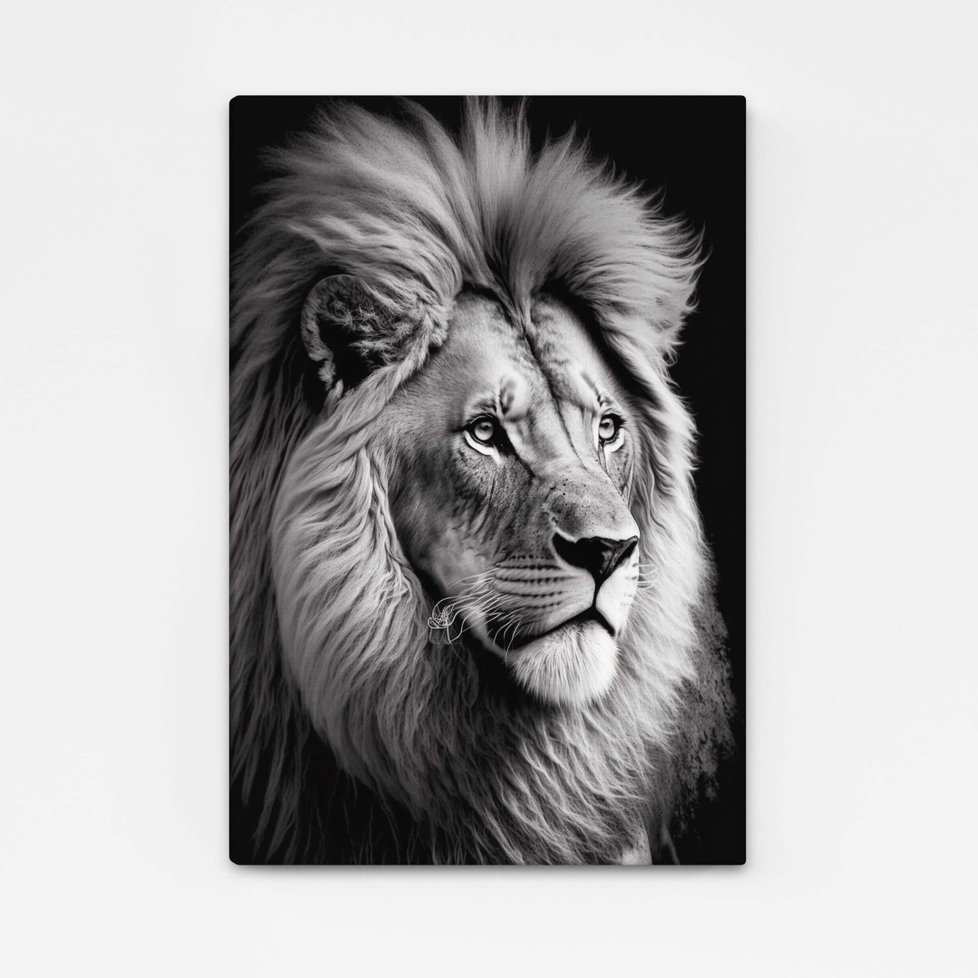 Lion Art Black And White