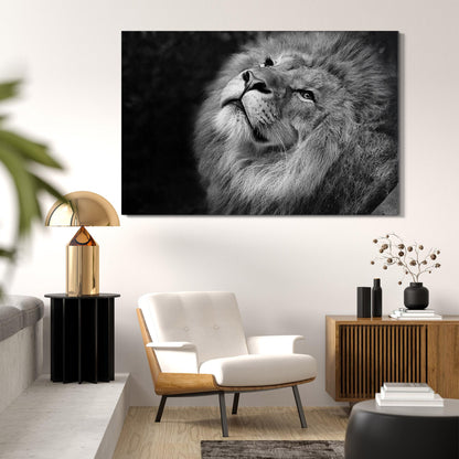 Lion Black And White Canvas