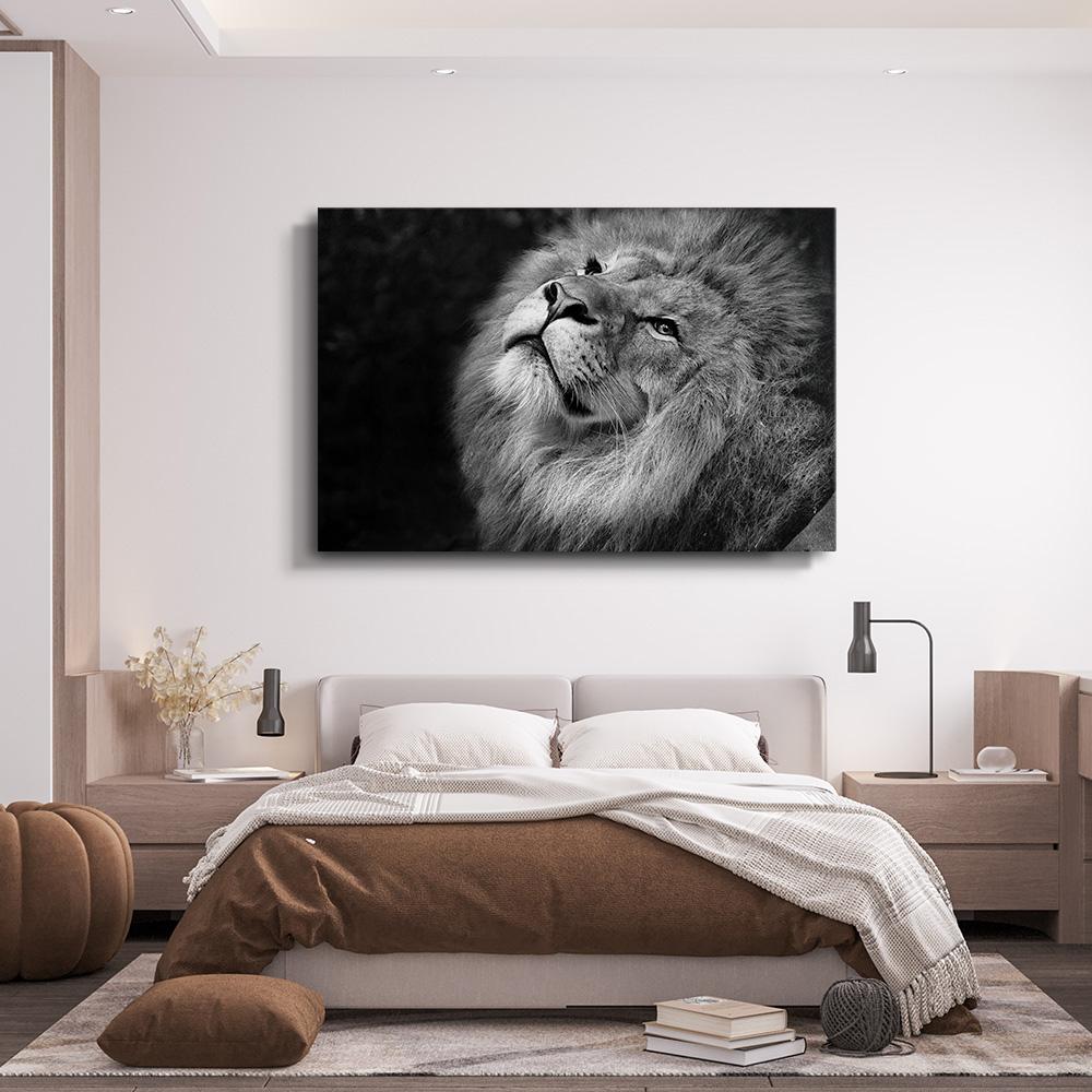 Lion Black And White Canvas