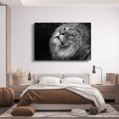 Lion Black And White Canvas