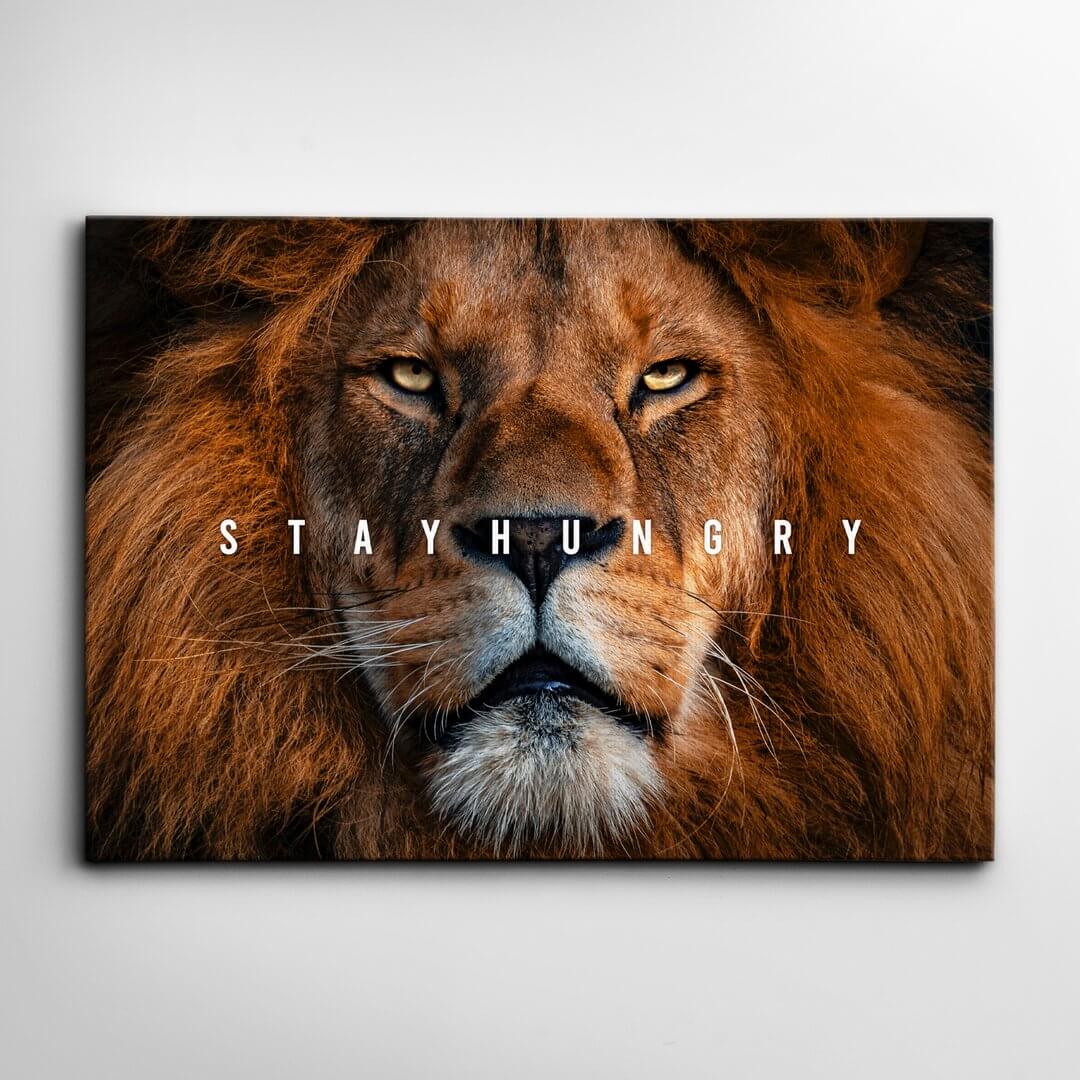 Lion Pictures Wall Decor