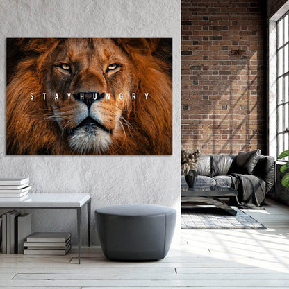 Lion Pictures Wall Decor