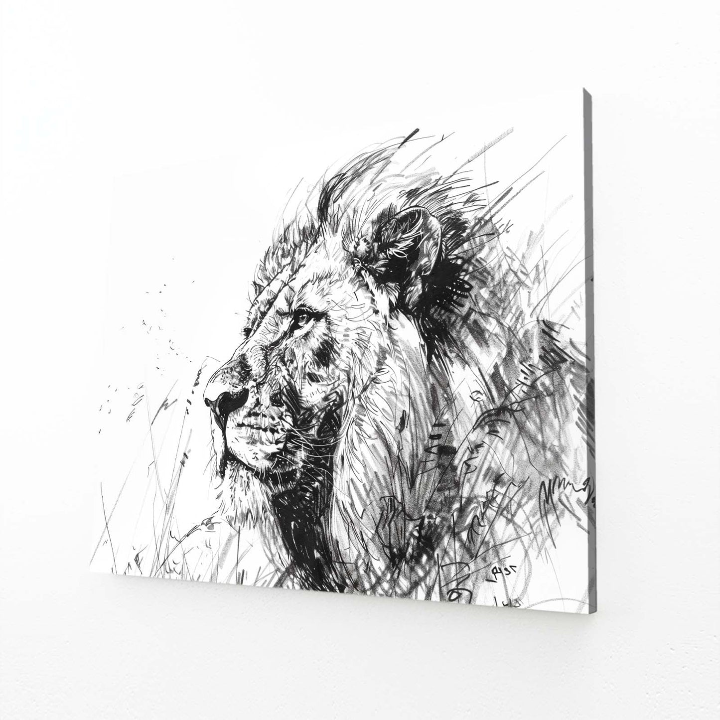 Lion Sketch Art