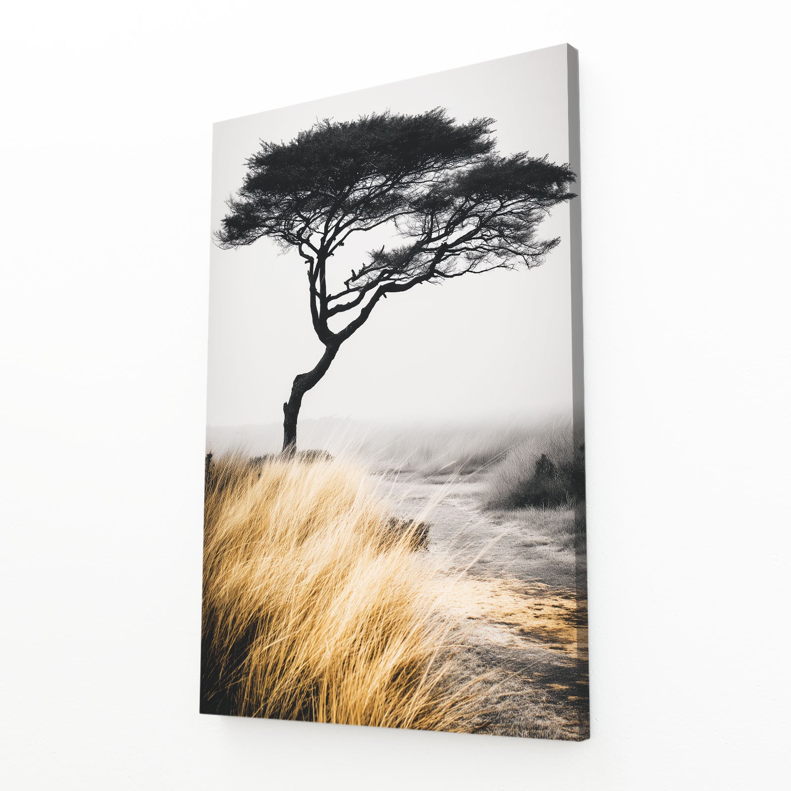 Lone Tree Reflection Photography Prints – angled canvas view on white background