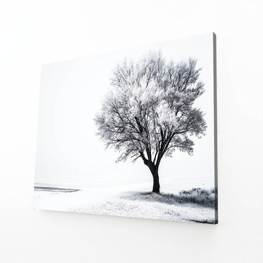 Lone Tree Snow Field Photography Art – angled canvas view on white background