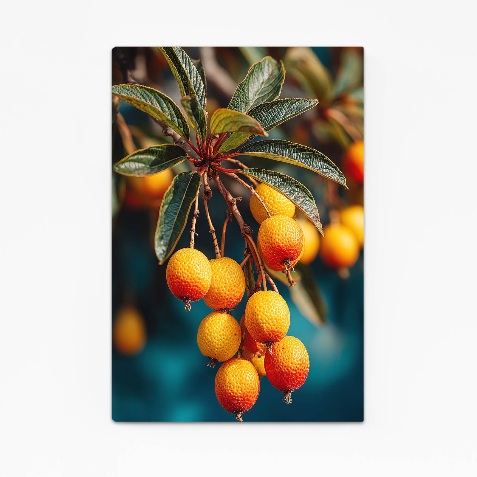 Loquat Branch Cluster Fruit Wall Decor – loquat branch cluster fruit canvas print