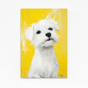 Maltese Dog Art