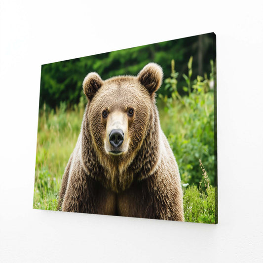 Meadow Photo Grizzly Bear Art — photography canvas print, angled canvas view on white background
