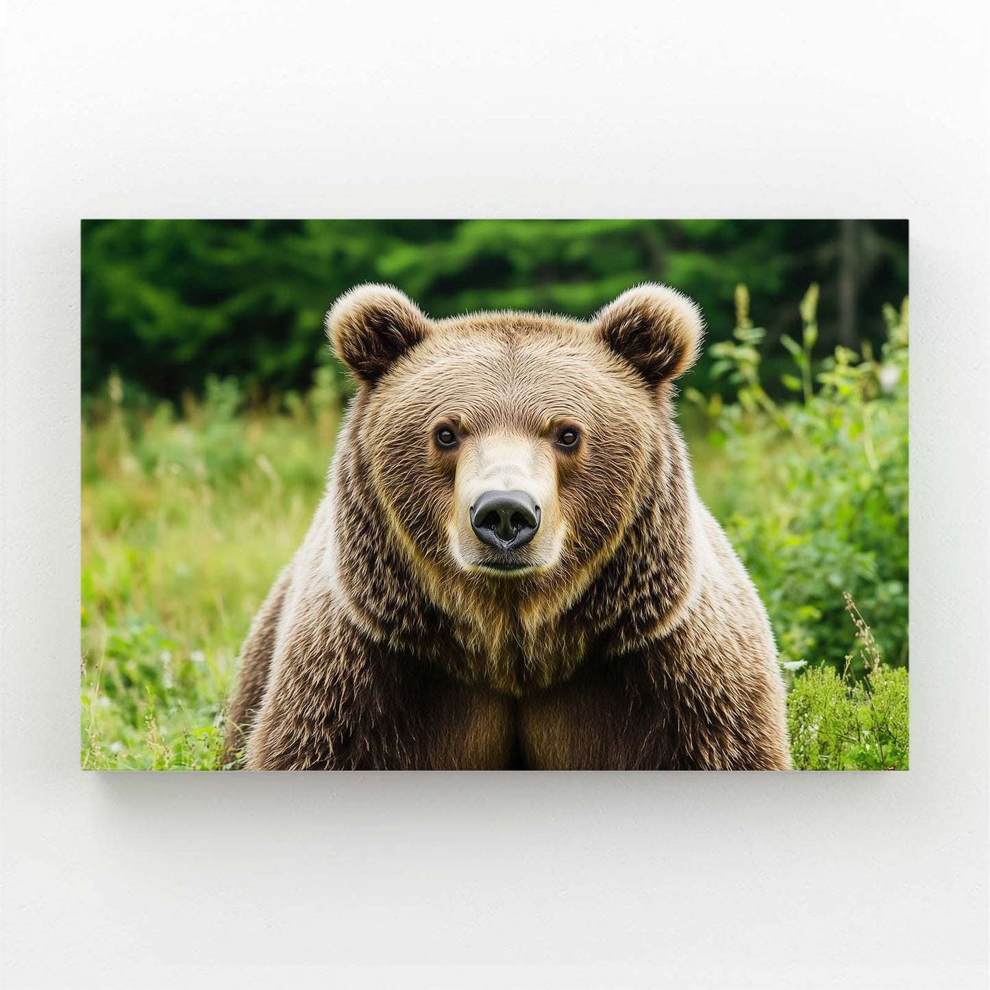 Meadow Photo Grizzly Bear Art — photography canvas print, angled canvas view on white background