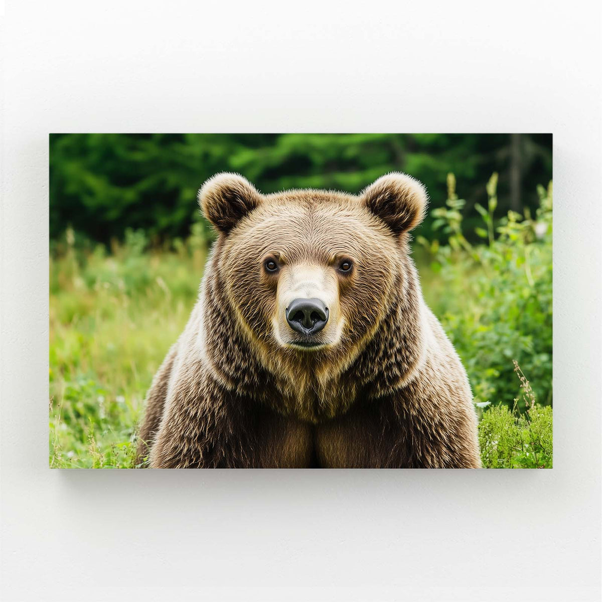 Meadow Photo Grizzly Bear Art — photography canvas print, angled canvas view on white background