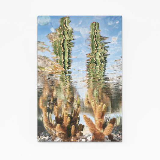 Mirror Pool Saguaro Cactus Art – mirror pool saguaro cactus canvas print