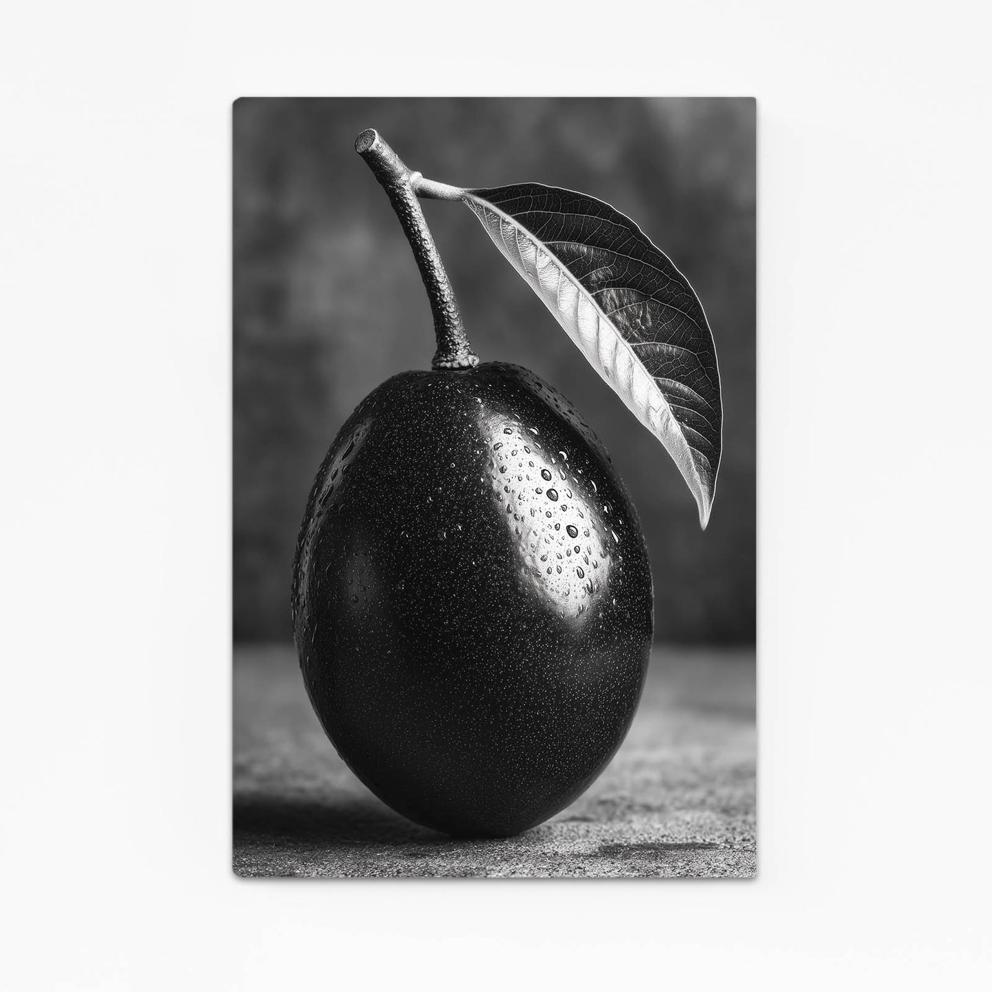 Monochrome Black Plum Fruit Canvas Art – monochrome black plum fruit canvas print