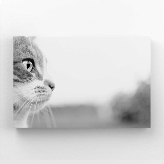 Monochrome Gaze Cat Wall Art