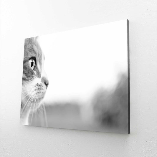 Monochrome Gaze Cat Wall Art