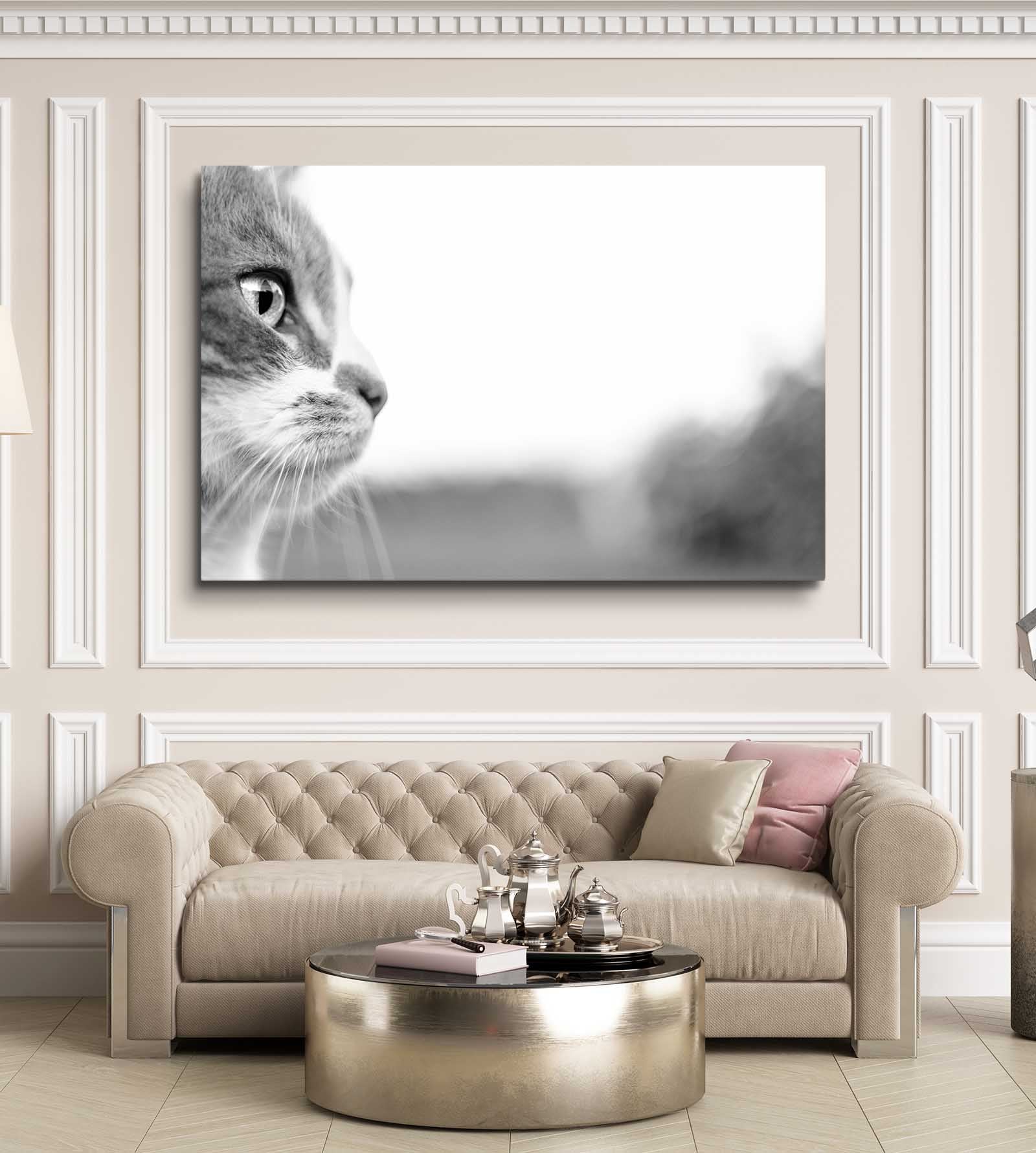 Monochrome Gaze Cat Wall Art