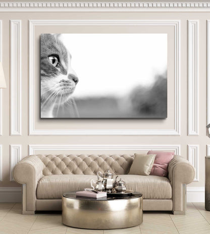 Monochrome Gaze Cat Wall Art
