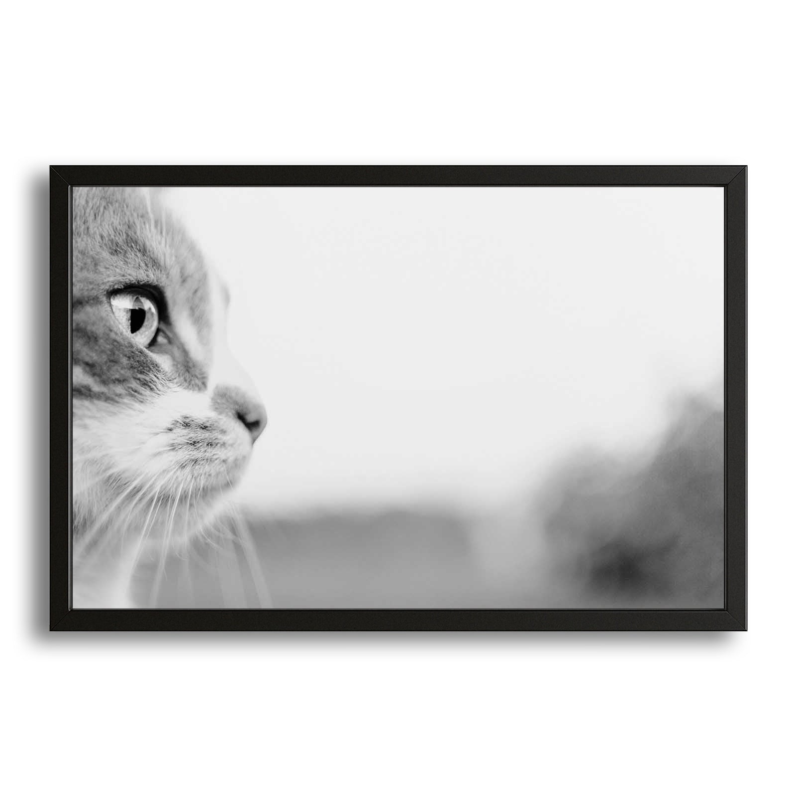 Monochrome Gaze Cat Wall Art – canvas print on white background