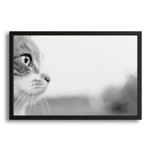 Monochrome Gaze Cat Wall Art