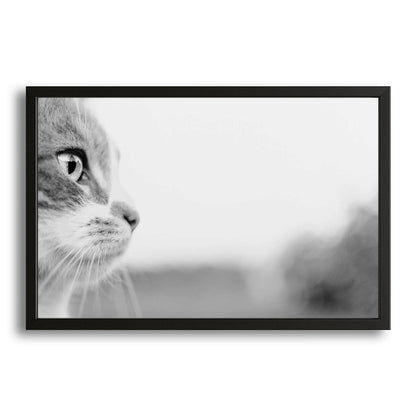 Monochrome Gaze Cat Wall Art