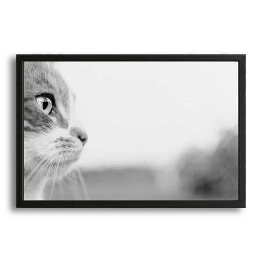 Monochrome Gaze Cat Wall Art – canvas print on white background