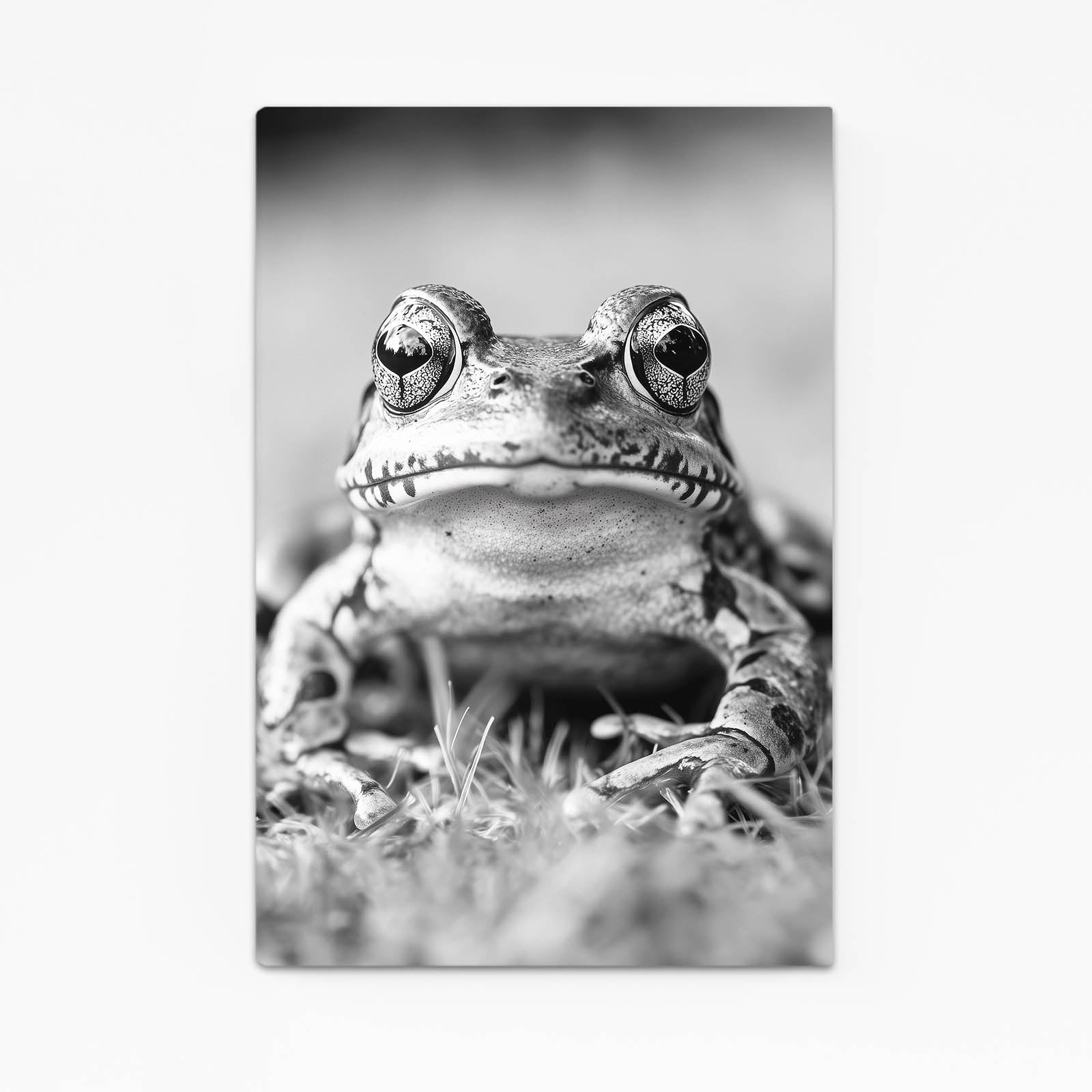 Monochrome Pond Portrait Frog Canvas – monochrome pond portrait frog canvas print