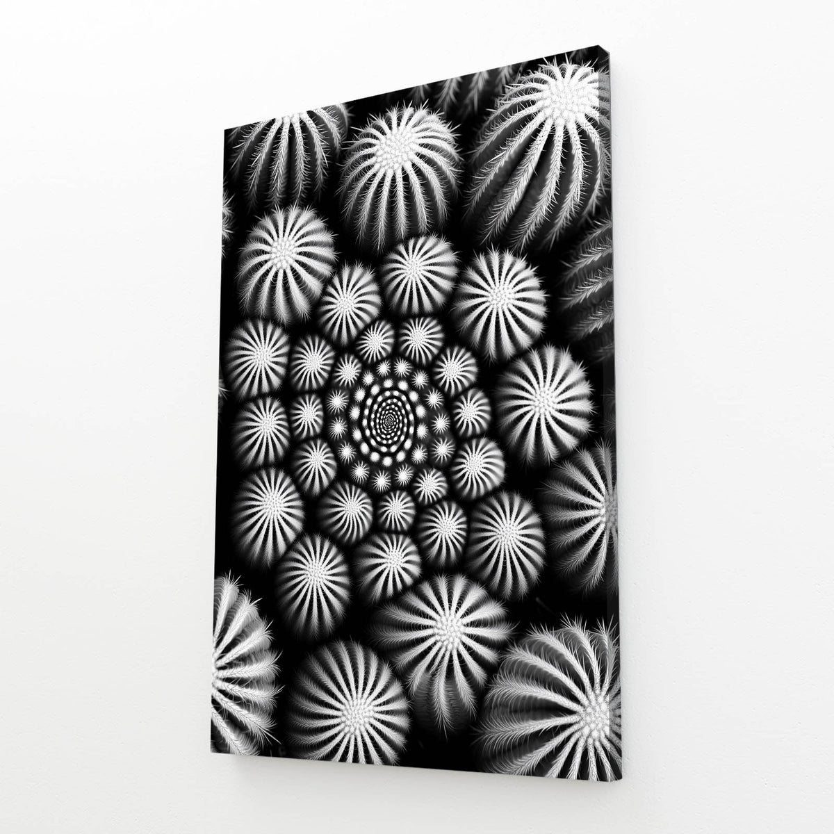 Monochrome Spine Pattern Cactus Canvas Art — abstract canvas print, angled canvas view on white background