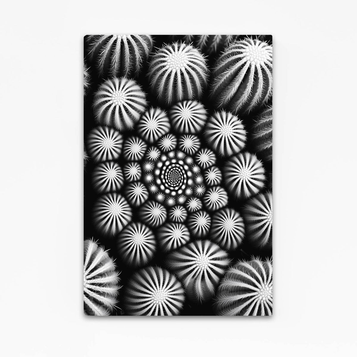 Monochrome Spine Pattern Cactus Canvas Art — abstract canvas print, angled canvas view on white background