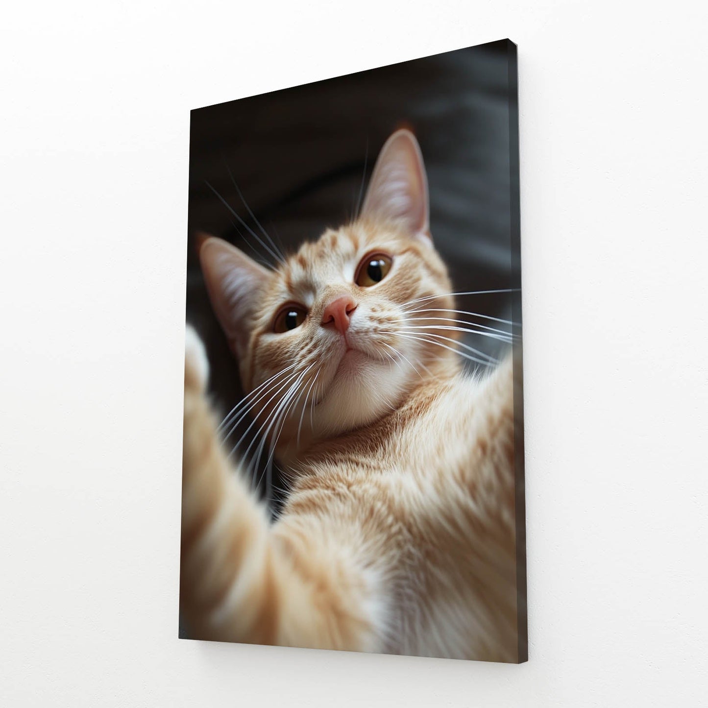 Morning Stretch Wall Art Cat