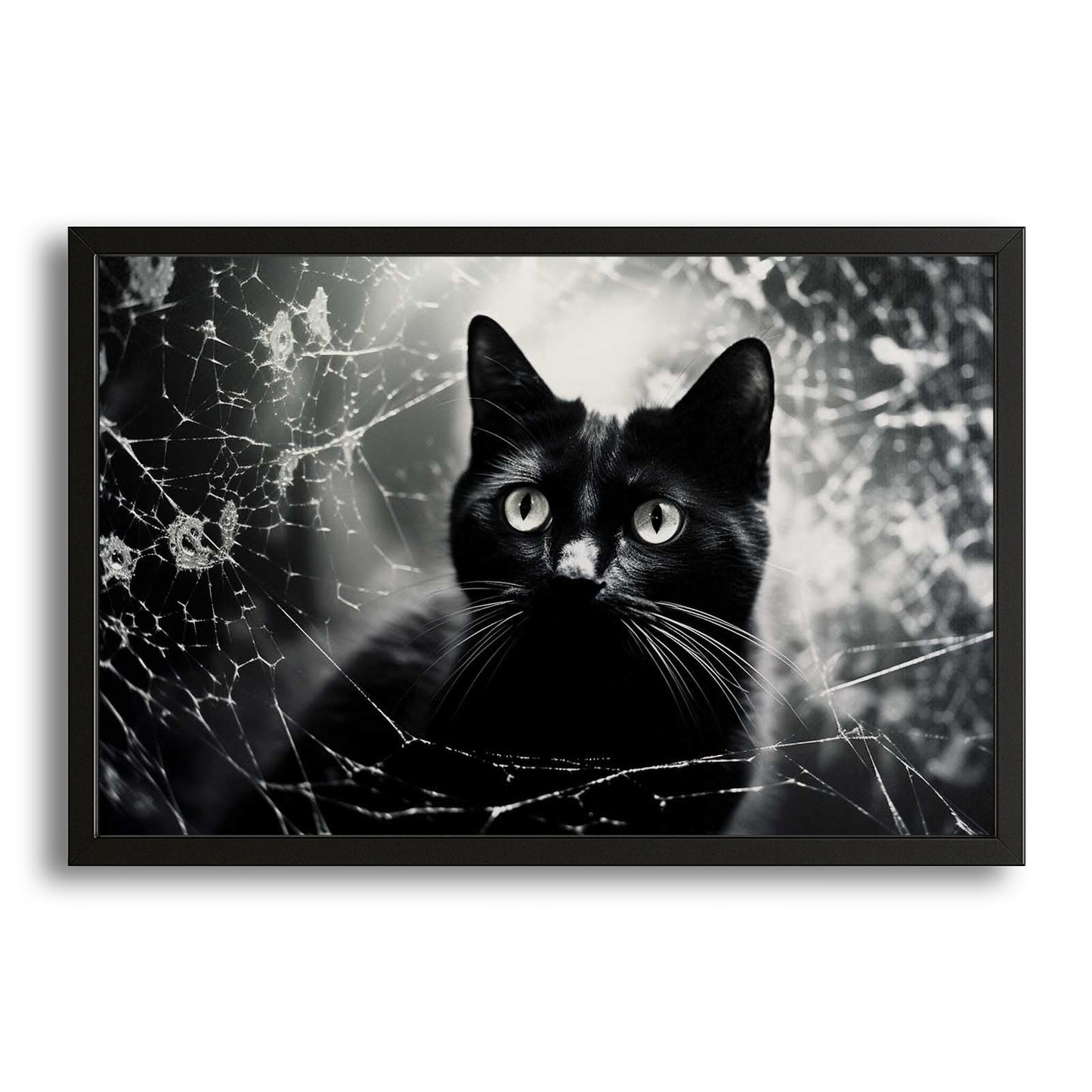 Mysterious Cat Wall Art