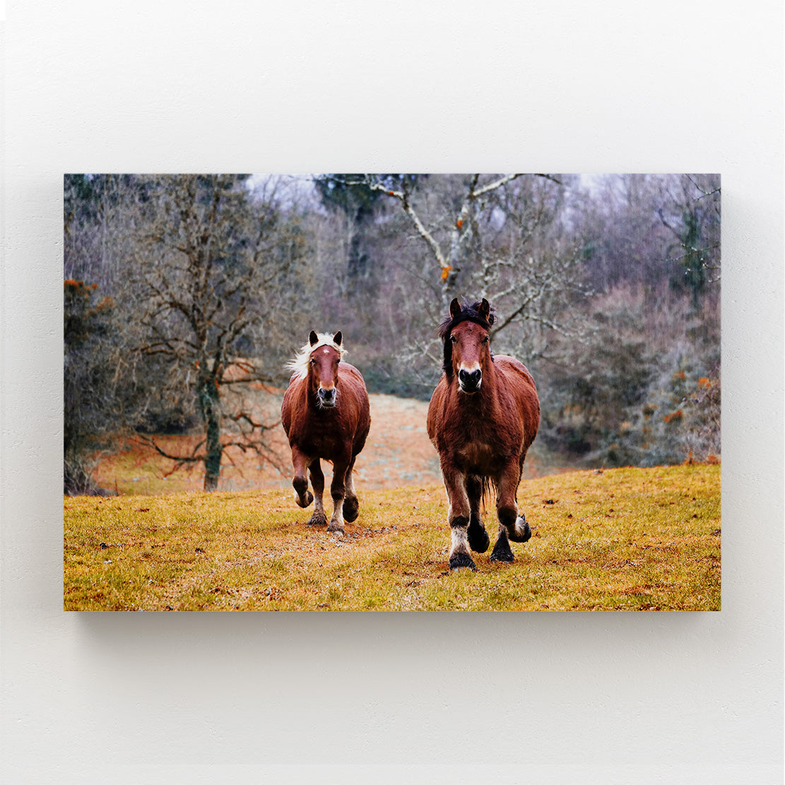 Natural Colors Horse Canvas – angled canvas view on white background