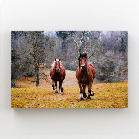 Natural Colors Horse Canvas – angled canvas view on white background