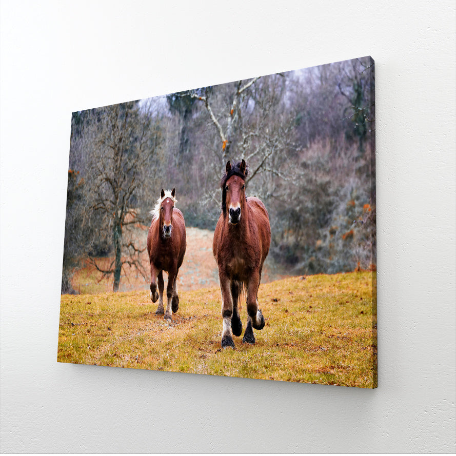 Natural Colors Horse Canvas – angled canvas view on white background
