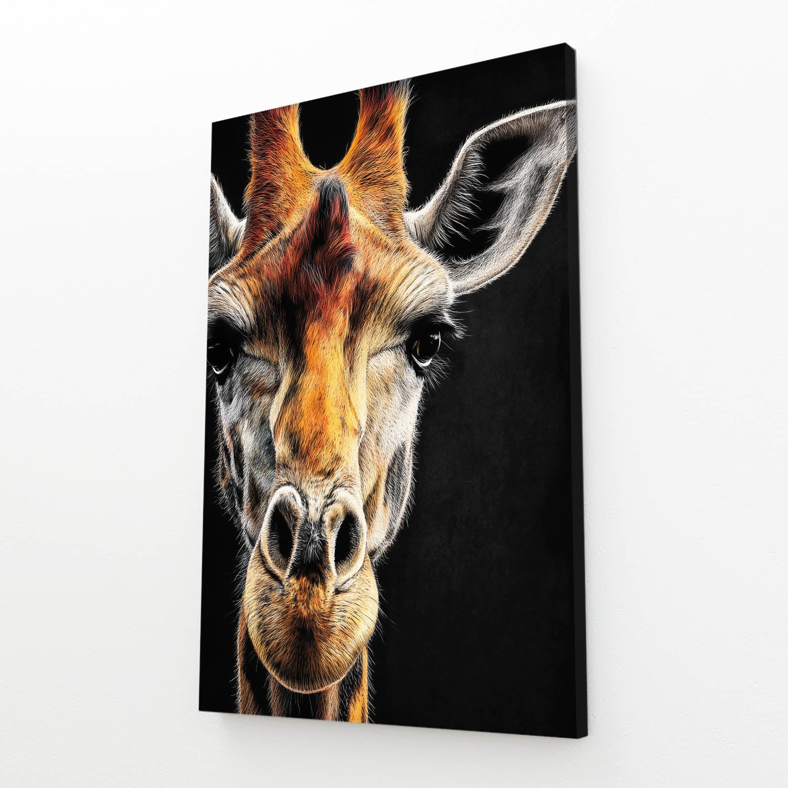 Canvas print of a giraffe's face on a black background