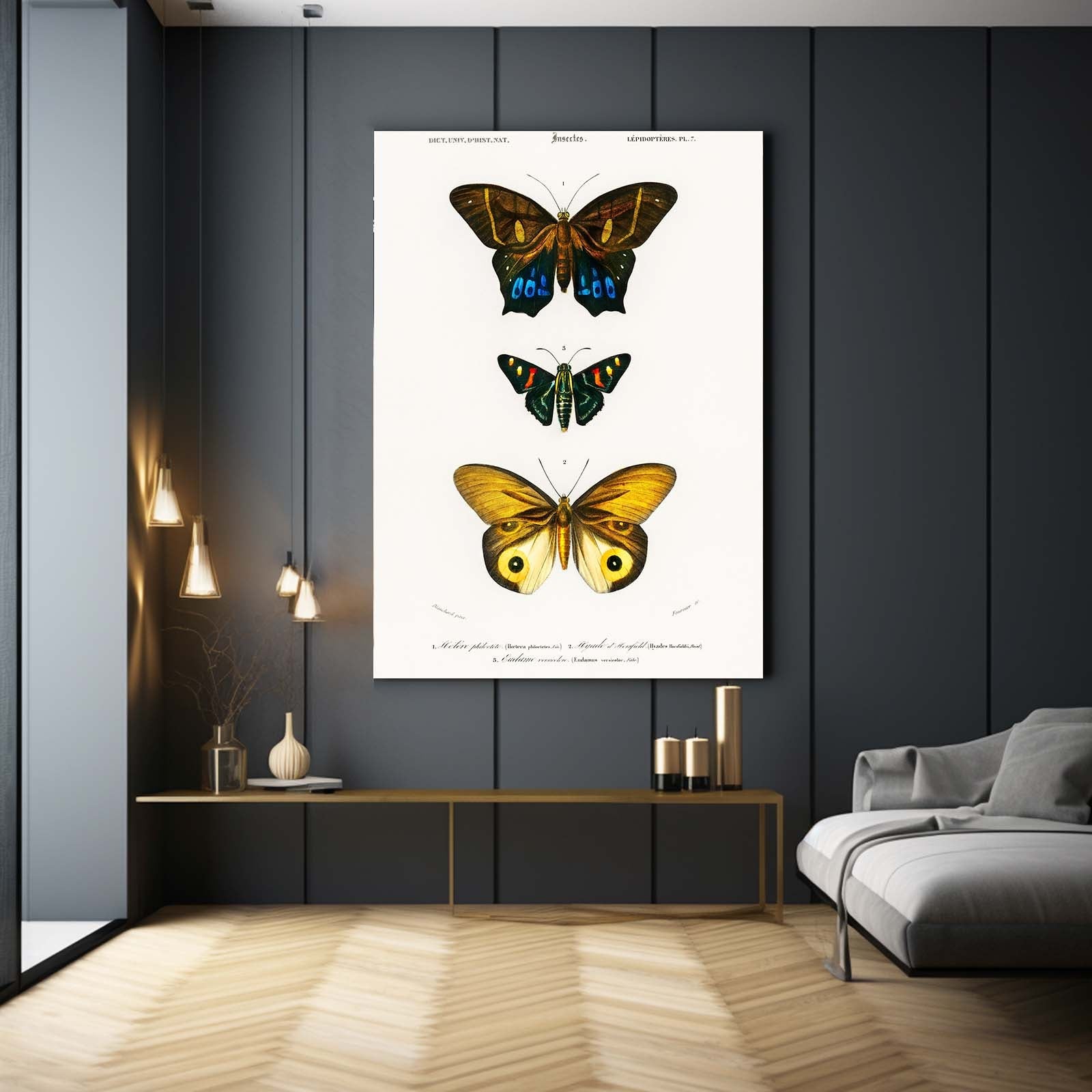 Naturalist Butterfly Wall Art
