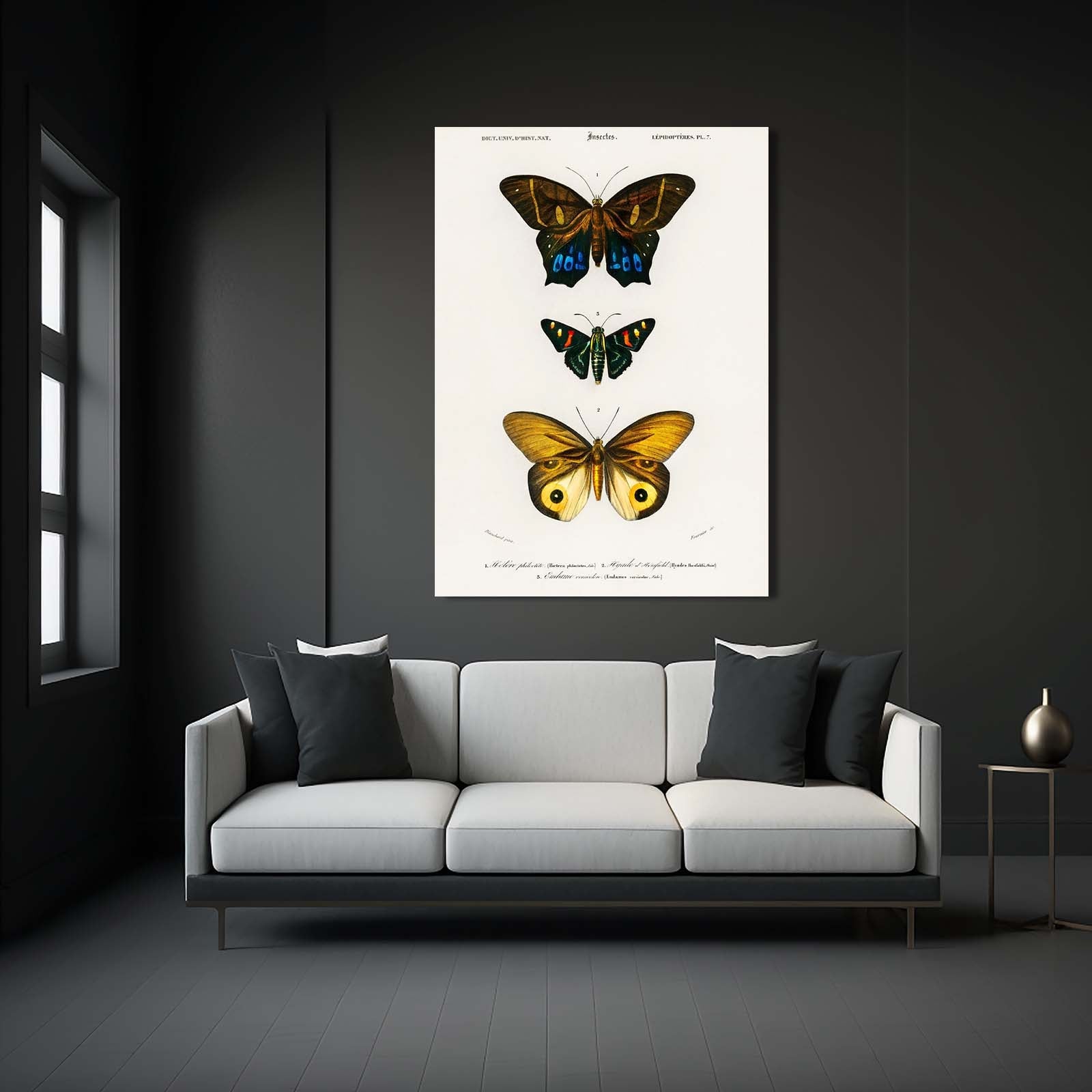 Naturalist Butterfly Wall Art