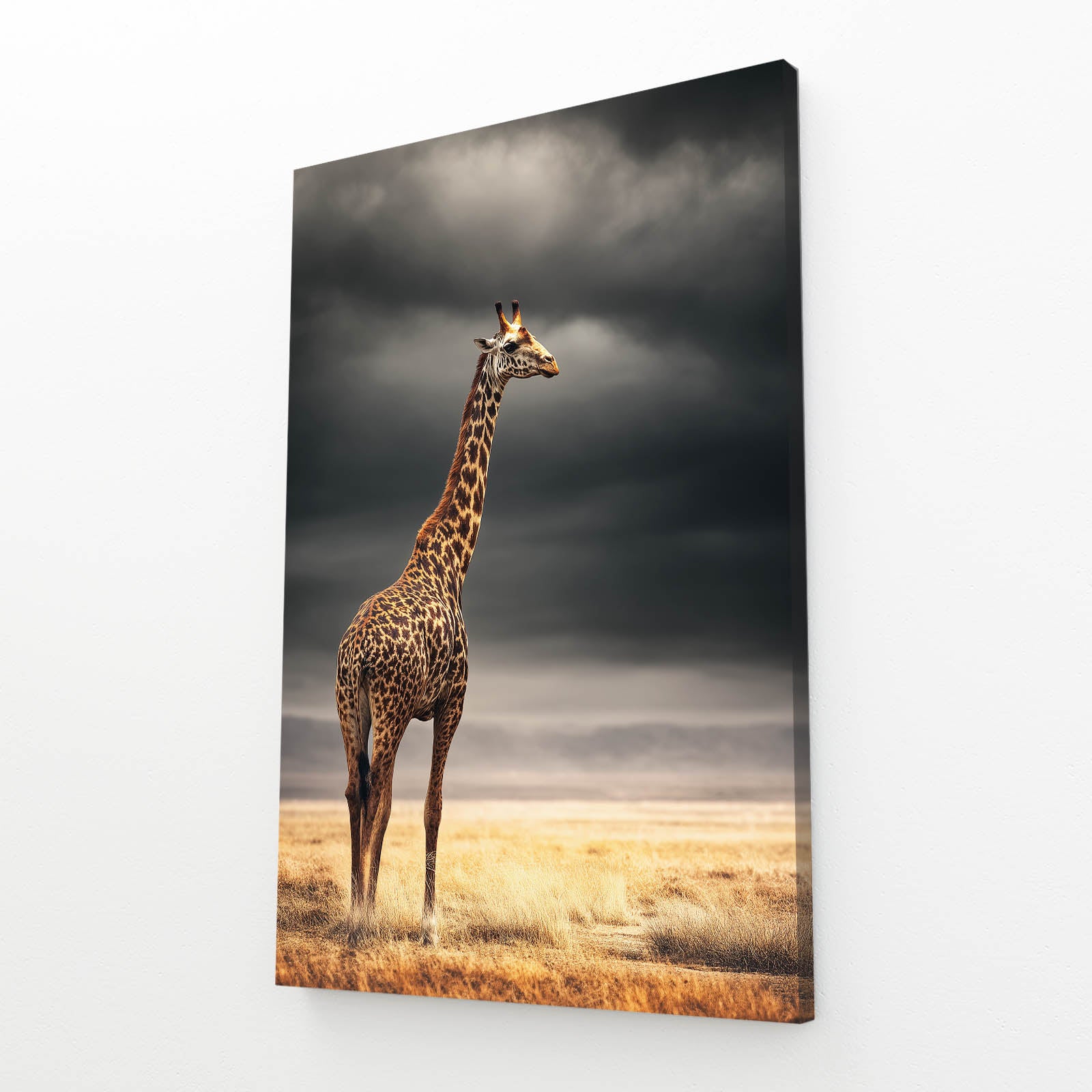 Giraffe standing in a field with a dramatic sky